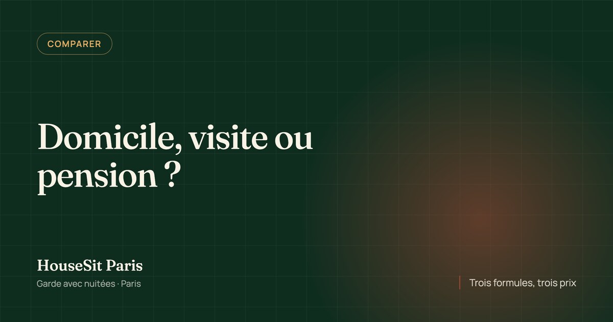 Couverture éditoriale de l'article, avec le titre « Domicile, visite ou pension ? » en lettres crème sur un fond vert forêt.