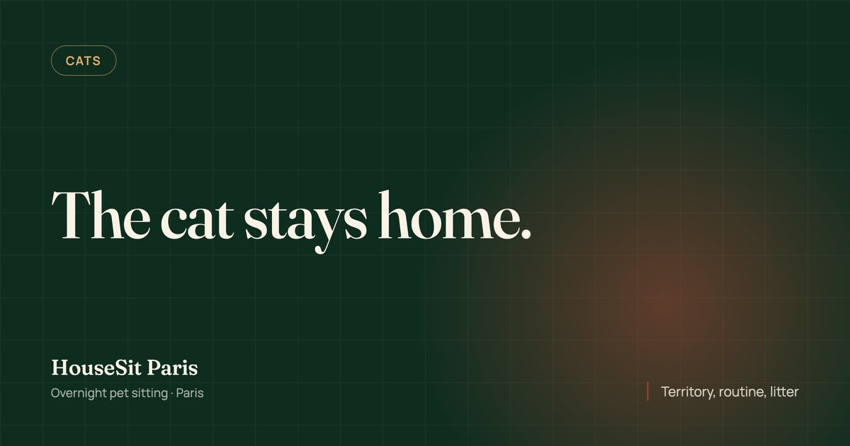 Editorial cover for the article, with the title “The cat stays home” in cream lettering on a forest green background.