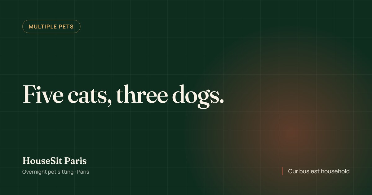 Editorial cover for the article, with the title “Five cats, three dogs” in cream lettering on a forest green background.