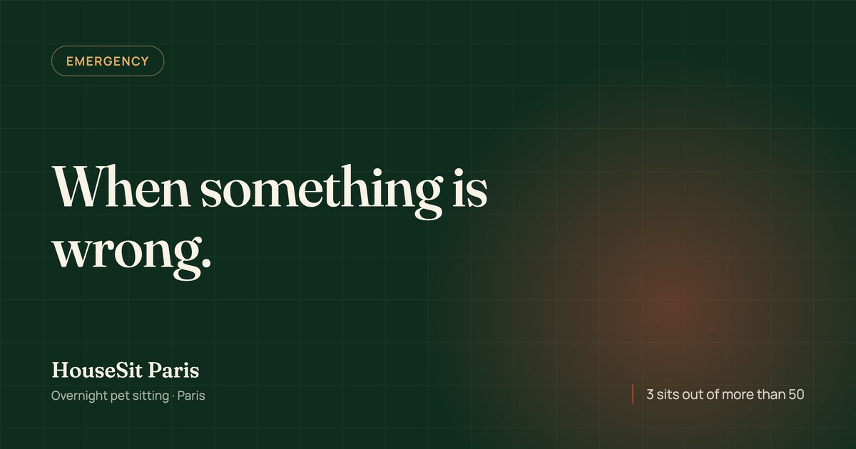 Editorial cover for the article, with the title “When something is wrong” in cream lettering on a forest green background.