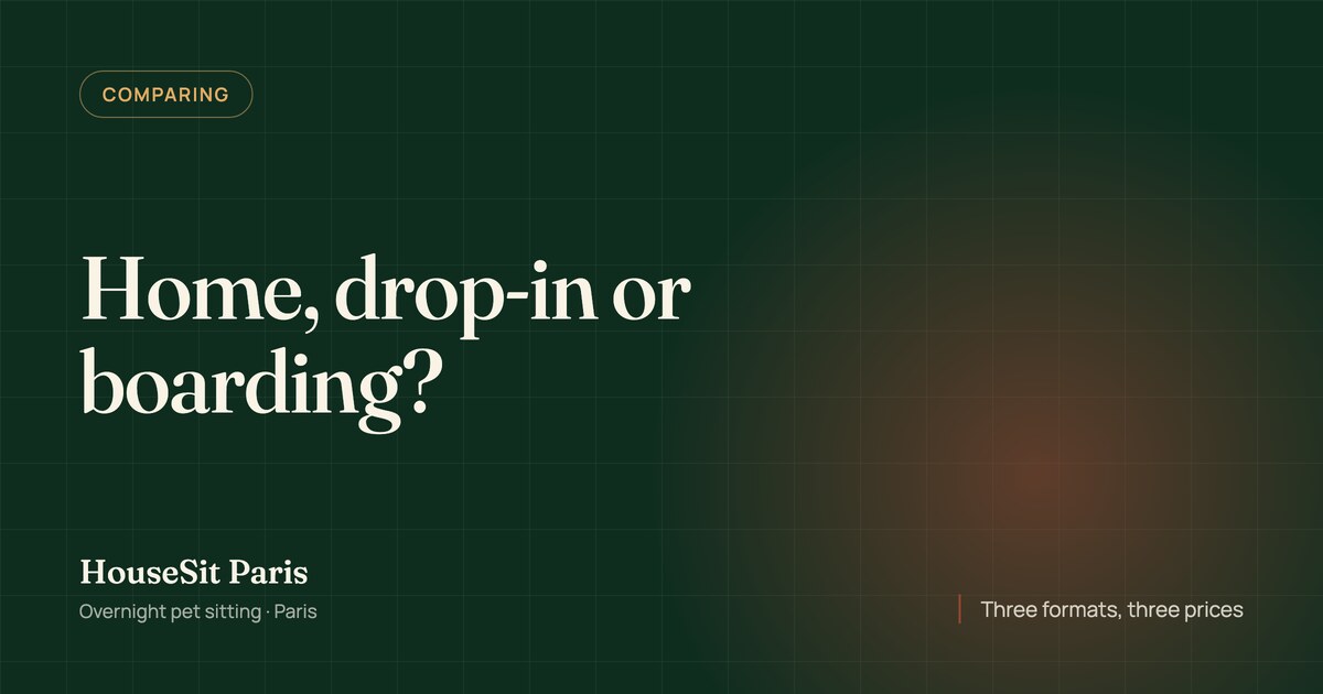 Editorial cover for the article, with the title “Home, drop-in or boarding?” in cream lettering on a forest green background.